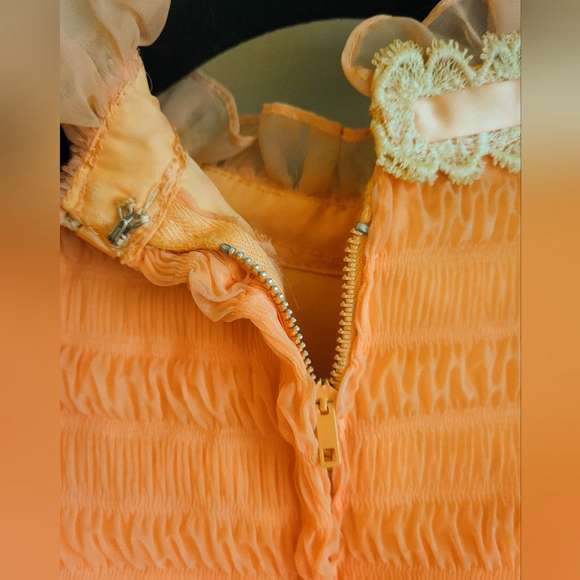 Vintage Chiffon Prairie Maxi Dress with Lace Trim - Picture 6 of 12